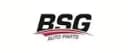 Логотип виробника BSG