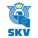 Логотип виробника SKV